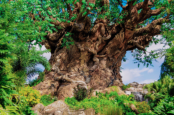 Walt Disney World Photo Gallery Disc